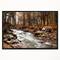Designart - Stream in Autumn Forest - Landscape Photography Framed Canvas Art Print